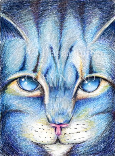 Jayfeather cat drawing from Warriors series